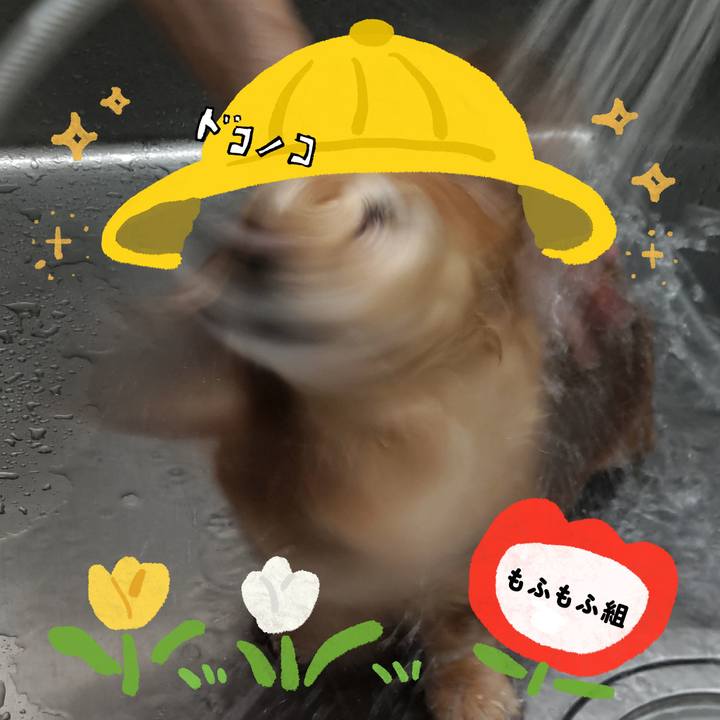 6a4131dc a91c 4b0a ab08 1b4cff3d247b 1712479921685