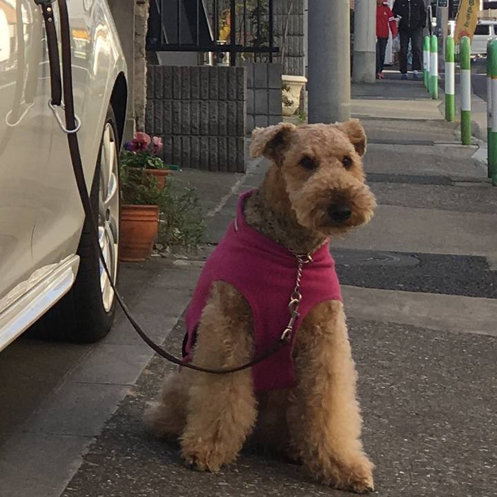 6a4159e3 eb89 450a b988 1ada9606ef77 1512304835491