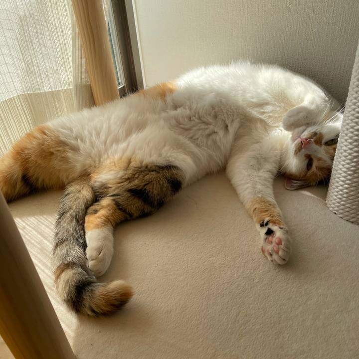 6a416fb9 ed34 4724 a8f2 a5fde892d4a2 1621749235824