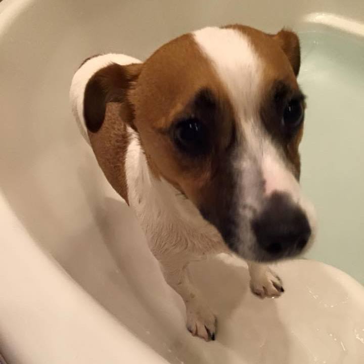 6a41761f 55ef 40a5 aa7c 1da2ae534cc5 1707058083927