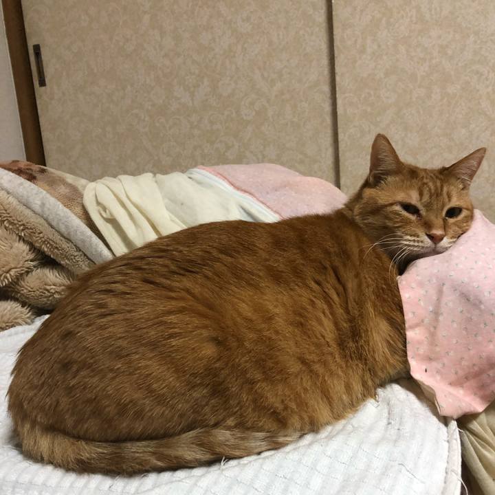 6a41815f 6f23 436b 8931 54005ab33ce1 1642541336922