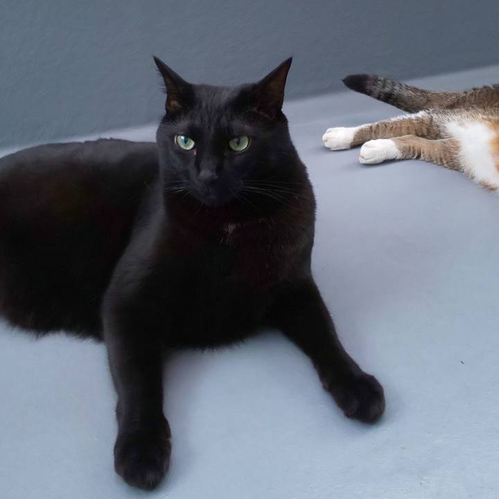 6a418ec8 eab3 43ec a6e3 8fee38203f87 1691015807816