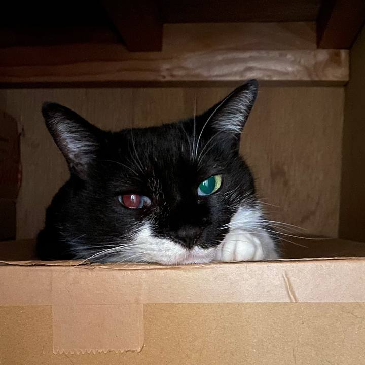 6a41cbe2 bf90 4846 a486 a2a50104642f 1663585973461