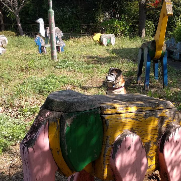 6a41e028 0816 4975 b9be 9e61a718e548 1523578783774