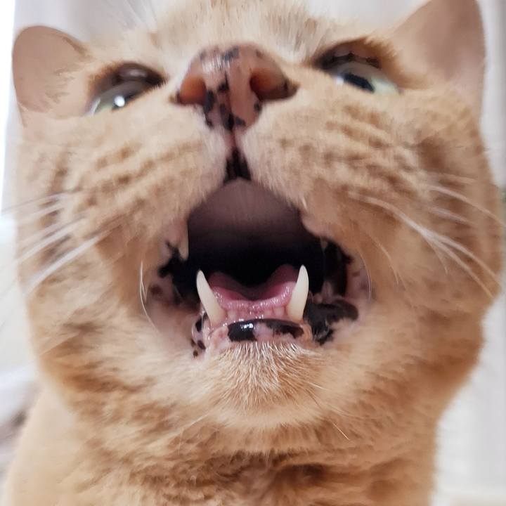 6a429b54 0388 43be bc91 0a22516b78f1 1747696552144