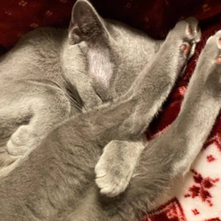 6a429ea4 0385 4c50 99c7 410fd5e54c23 1611305186084