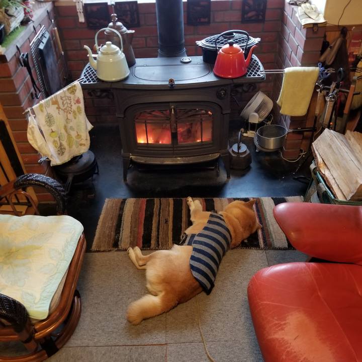 6a42c696 82e4 4b6a 9389 f6b74bf30e48 1611011103496