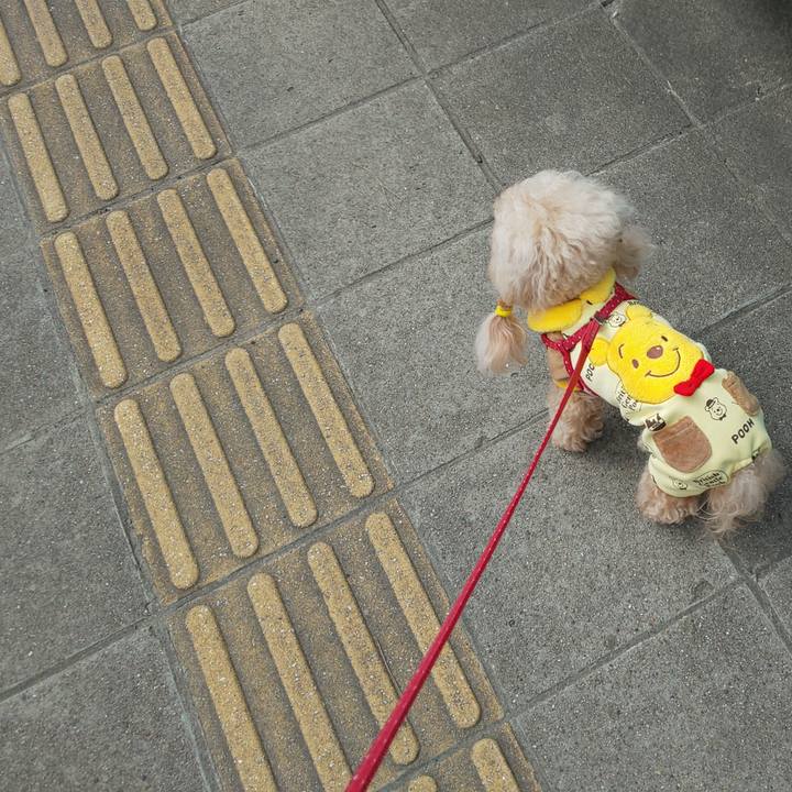 6a42cd25 1958 47ca a769 87e3551f003d 1586267727700