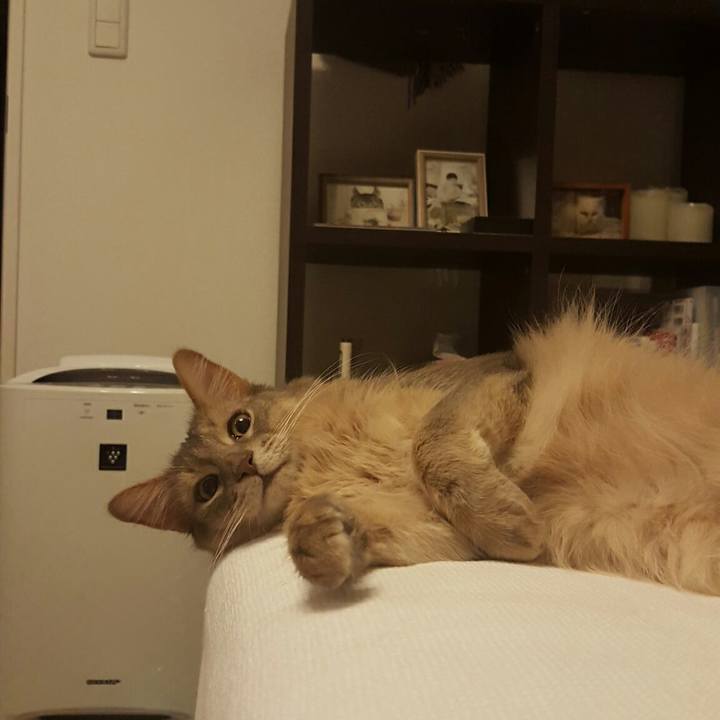 6a42de2d ac26 4efd a232 e7557e82ea54 1529070846557