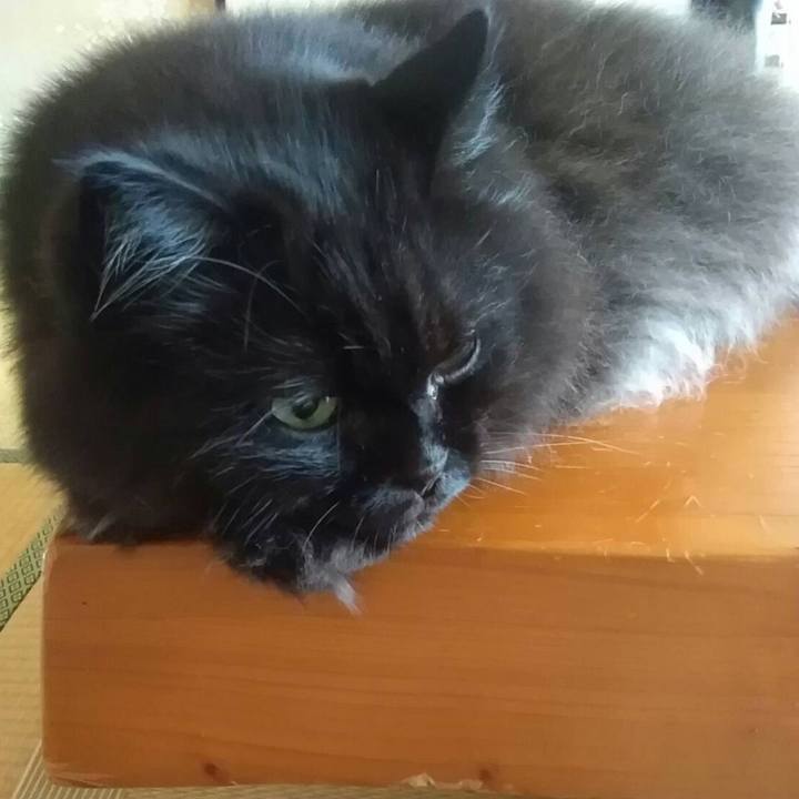 6a42f962 0b7d 4436 9928 190dd2ba5d2b 1723777107941