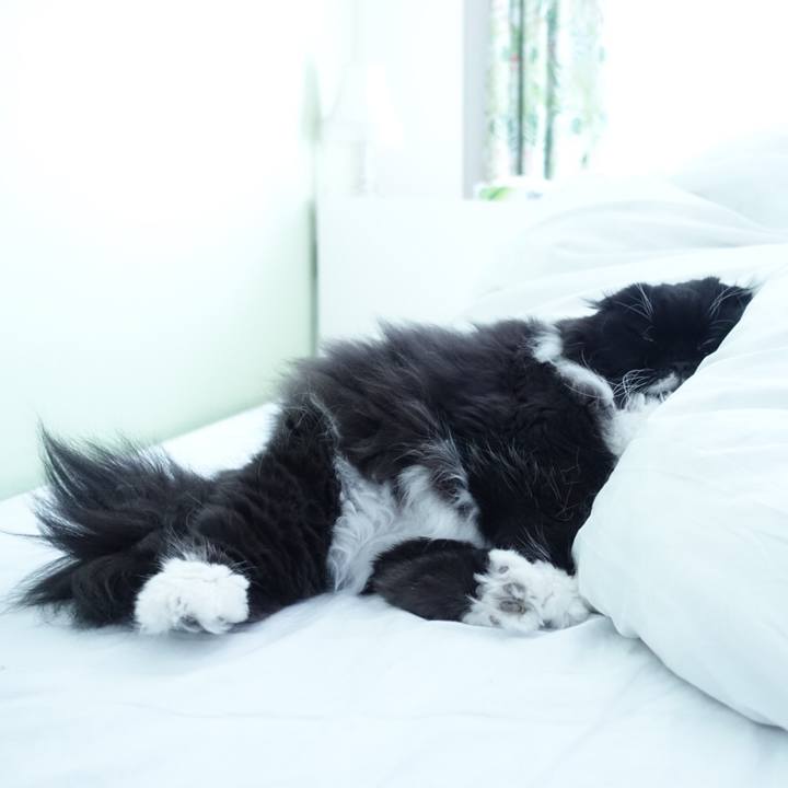 6a43027e 1632 46ae a4a1 36edc51fd045 1511419238059