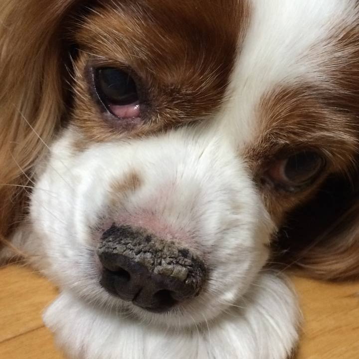 6a431195 1136 43c0 aa3b 0f50fe421847 1523398223580