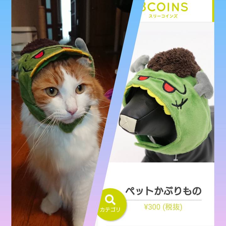 6a43195e ccae 4c09 9aa8 371753d657be 1569674898014