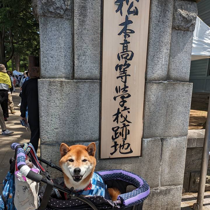 6a43393a 6fb6 4d56 b0db a3e6bf9a2767 1716760594875