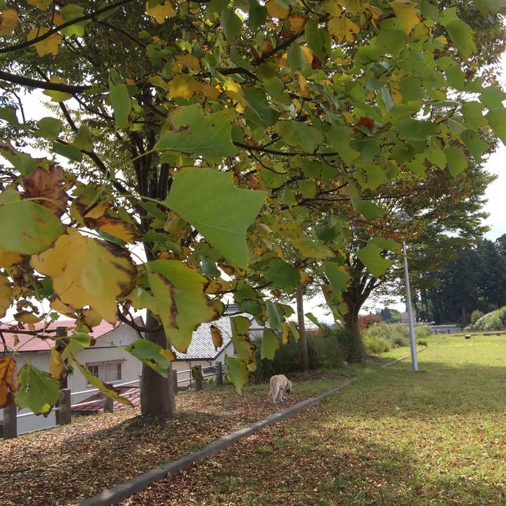 6a4355b7 e472 4d6d 9ed6 63c3b66640e2 1540267493895