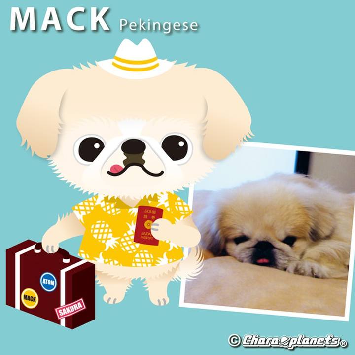 6a435692 e7a5 4047 8c3a 99b34897cc0d 1563930759793