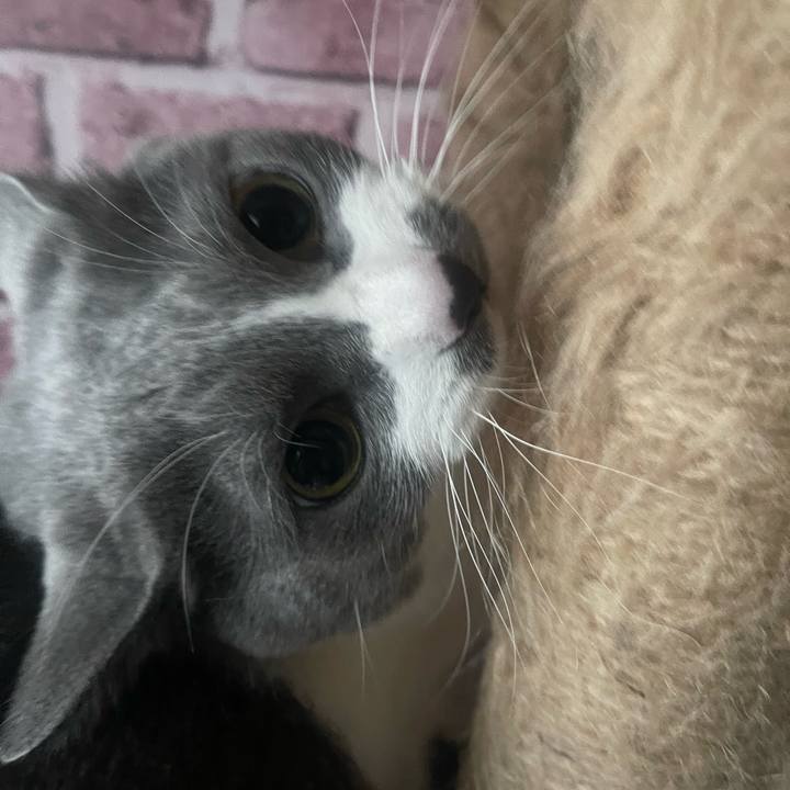 6a43a3ef 459e 40a3 a914 798929f4cbd9 1738536807311