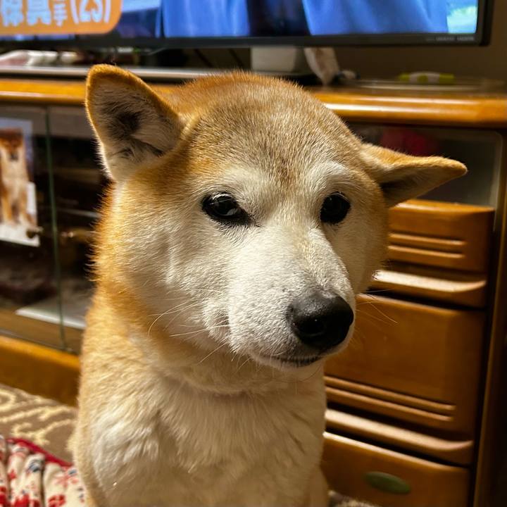 6a43e02b 0ee8 45d3 b978 6d3685c08955 1770626581497