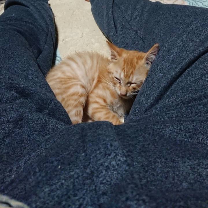 6a43ef12 503d 43aa a365 11794b13c1a6 1629724563380