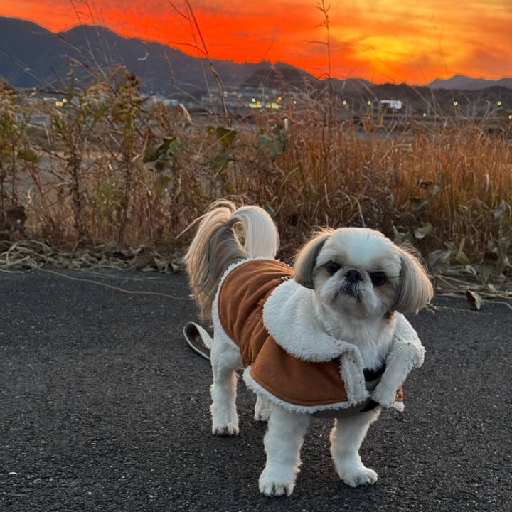 6a43f7a9 336a 4ff5 966f 98d830062b1d 1735561080455