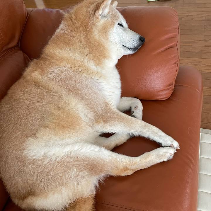 6a44035b 09da 47e5 b234 ce122b9be69e 1688278424633