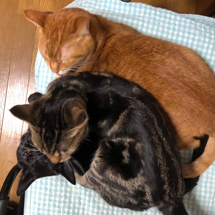 6a443c6f 3806 4977 b430 02555536ee69 1736334600249