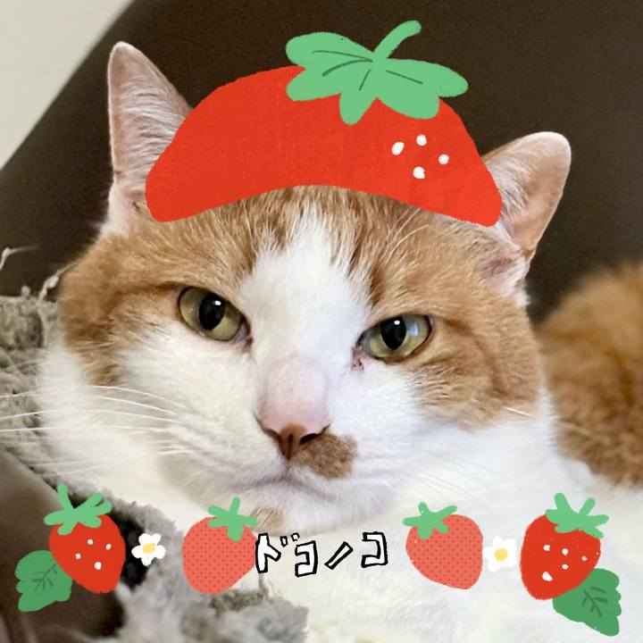 6a44480d 98c9 40c6 855d 9dcda2358c39 1775433723197
