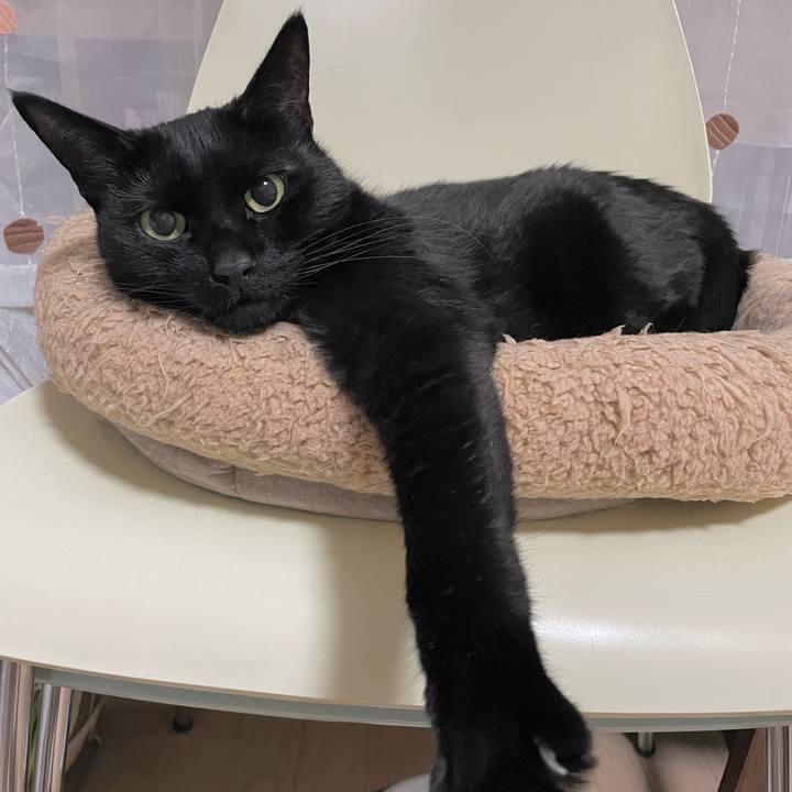 6a448087 c8cf 448a 9630 f2da9db820c8 1679405078496