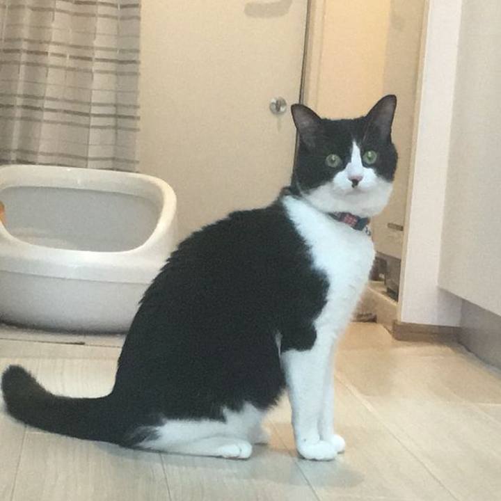 6a4499d4 0805 4b90 bf7e 66e222b9187f 1527781529641