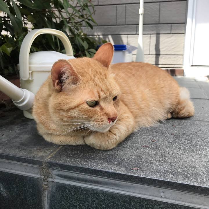 6a449a01 103c 4d8f 9060 7f9c4e486c71 1523868843438