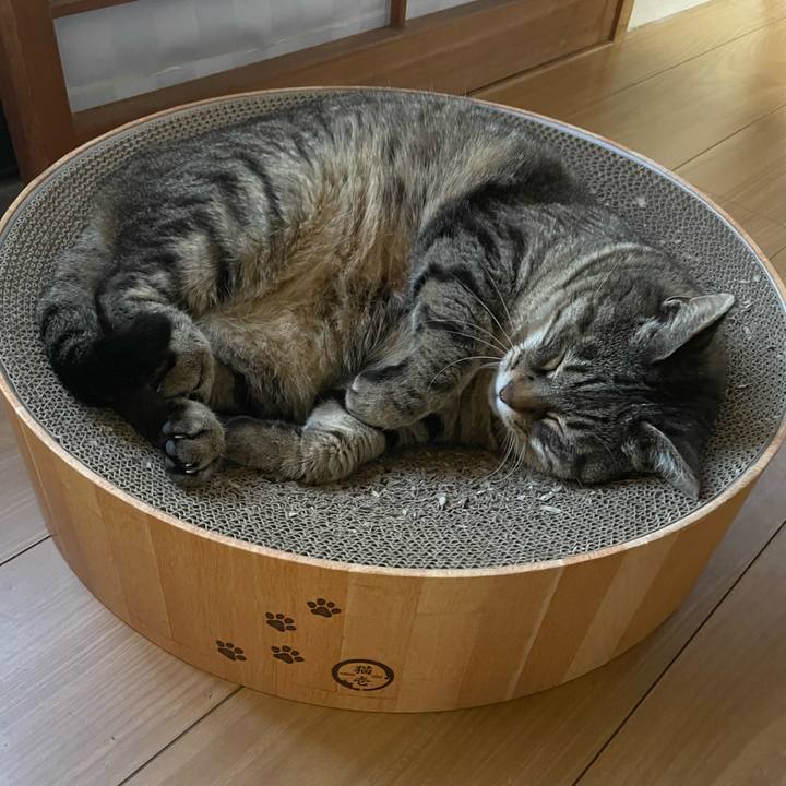 6a44ae08 c978 4740 8273 15c6cc604ab4 1668034803861