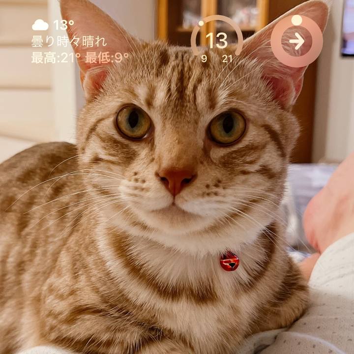 6a44ae09 41ea 4e81 a3c8 293087f19960 1678395219788