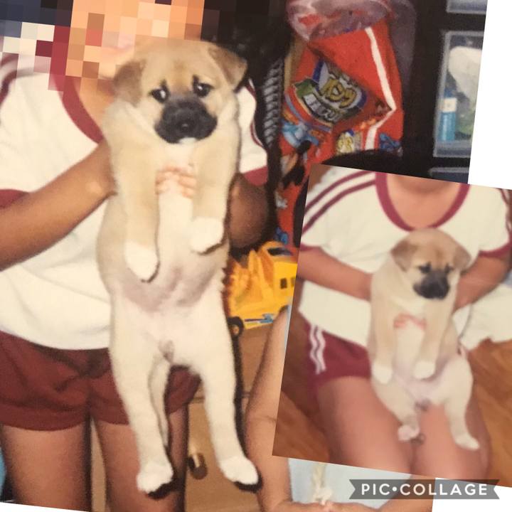 6a44c2fb a681 41ab 880b e2a86290d33a 1571707206297