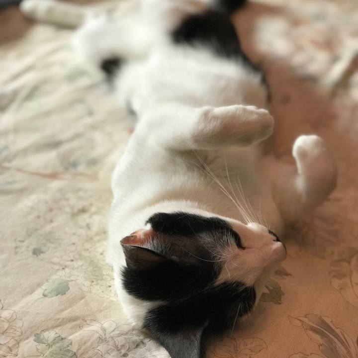 6a44d706 3700 435d 9792 7ca58fe4516d 1516073299769