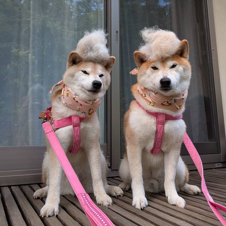 6a44d991 681d 4885 a25a f4f7e0a680dd 1753687201929