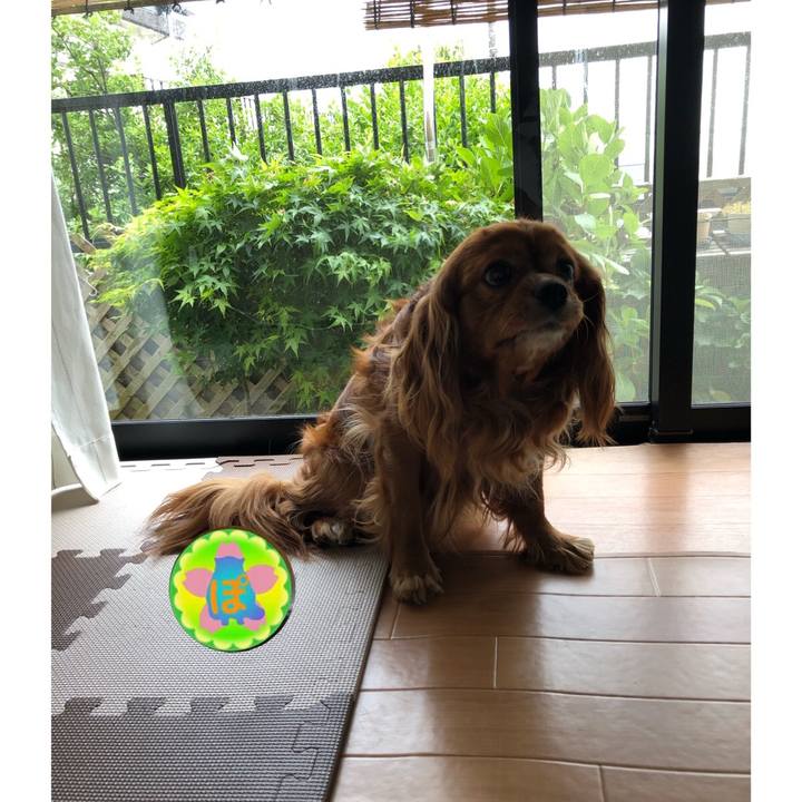 6a44f5f6 c49e 4728 bbbb 470e12b1795e 1619958748676