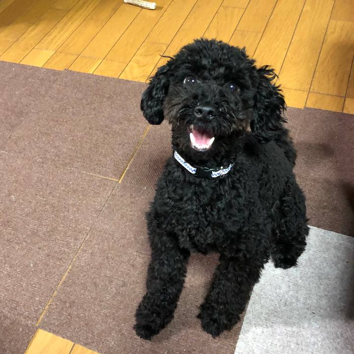 6a450450 db49 4c6f 85a1 48bacc1e0637 1511303089336