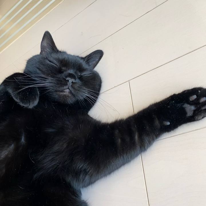 6a4528fe 7df3 4d21 ad19 3f42e202354a 1657004495248