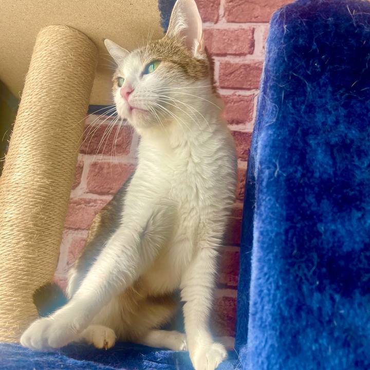 6a453680 d6ac 4bd3 a073 0a5fc7f9f162 1633477909785