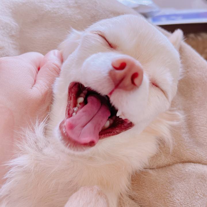 6a453fed 3016 4b11 a258 e97ab29efbfb 1678582755603