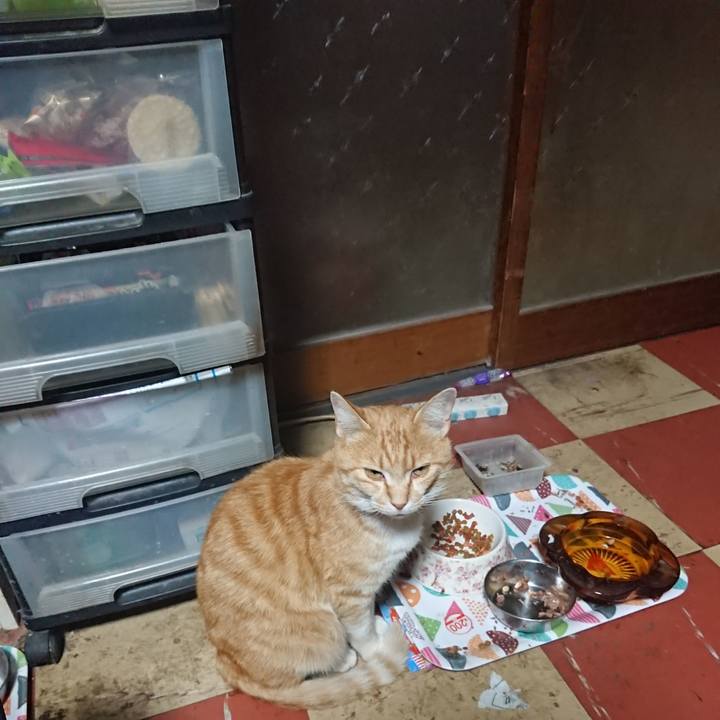 6a455821 4fbd 4855 a981 e1ec0c17a716 1589274984258