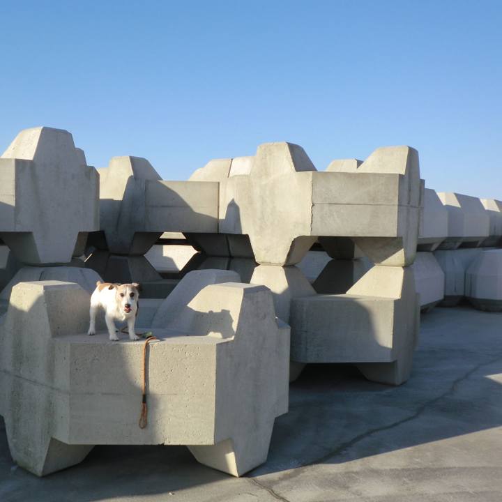 6a455d80 c875 4460 aa99 a5d235e9f718 1557921274078