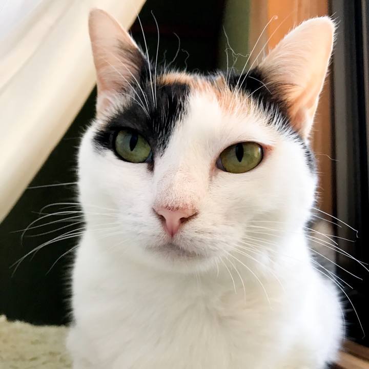 6a457075 e72d 4fb4 8b59 87d671fdc4b1 1534811563764