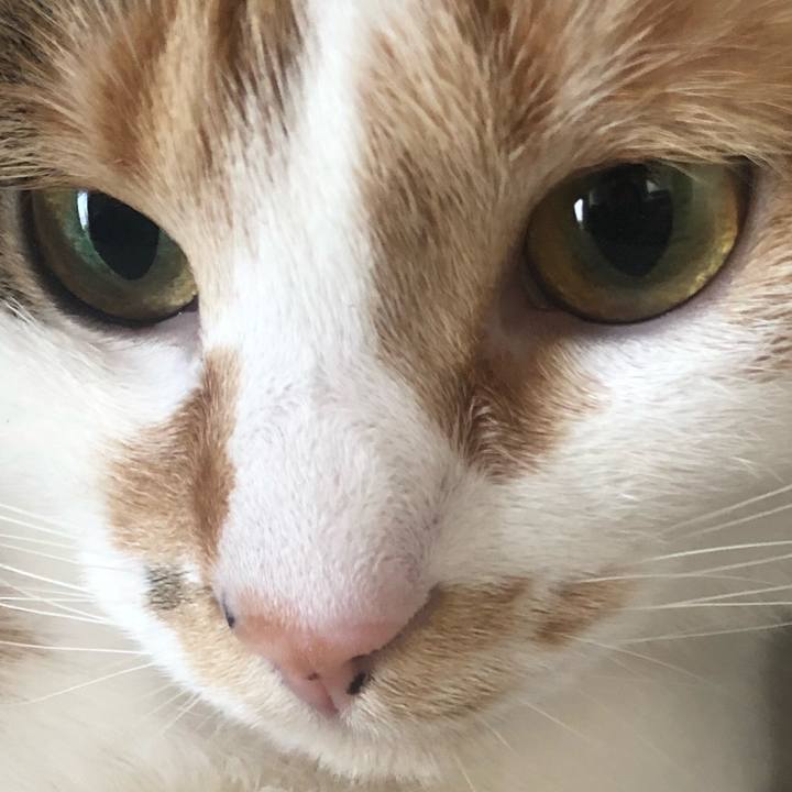 6a459735 720f 488c a818 03de7b5c3ce2 1584765094490