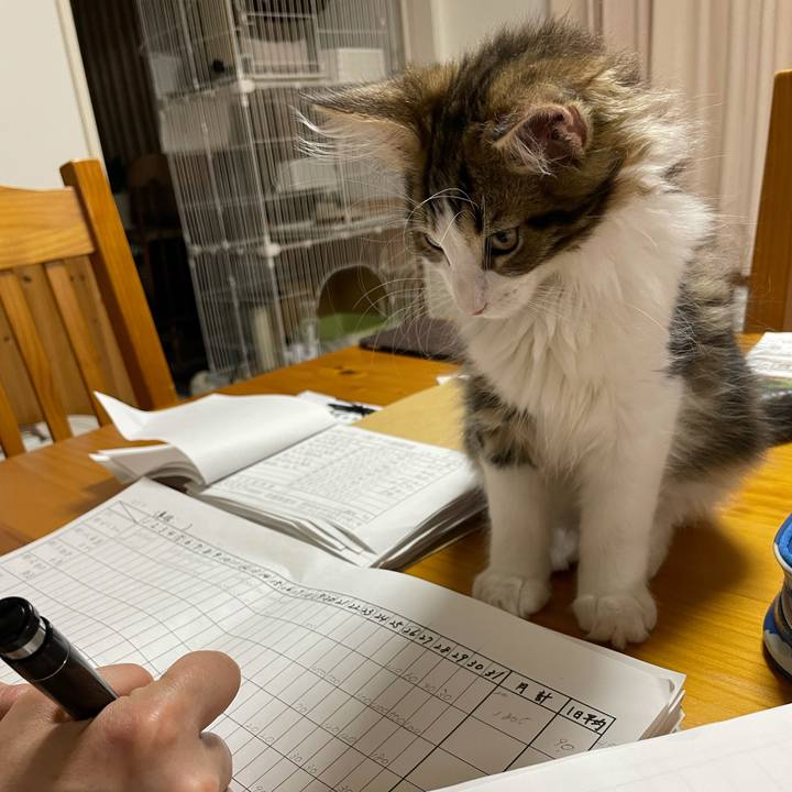 6a45c611 a7b4 44d1 a74f b4117ed0c20a 1632999334104