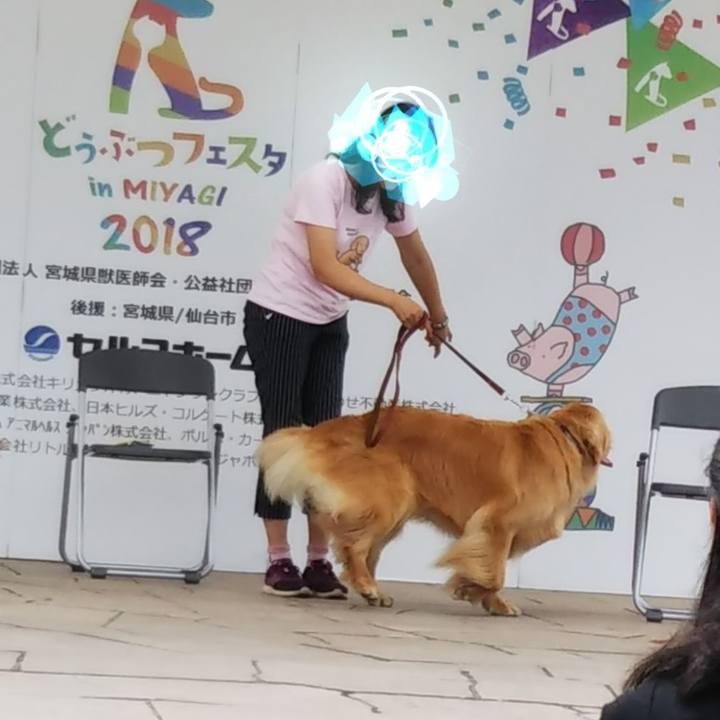 6a45d920 1364 4330 a32f 9e28ab9ead73 1537836724923