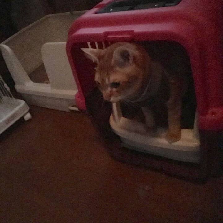 6a45dea2 ac40 475f a765 5d3b6b979401 1537327712662