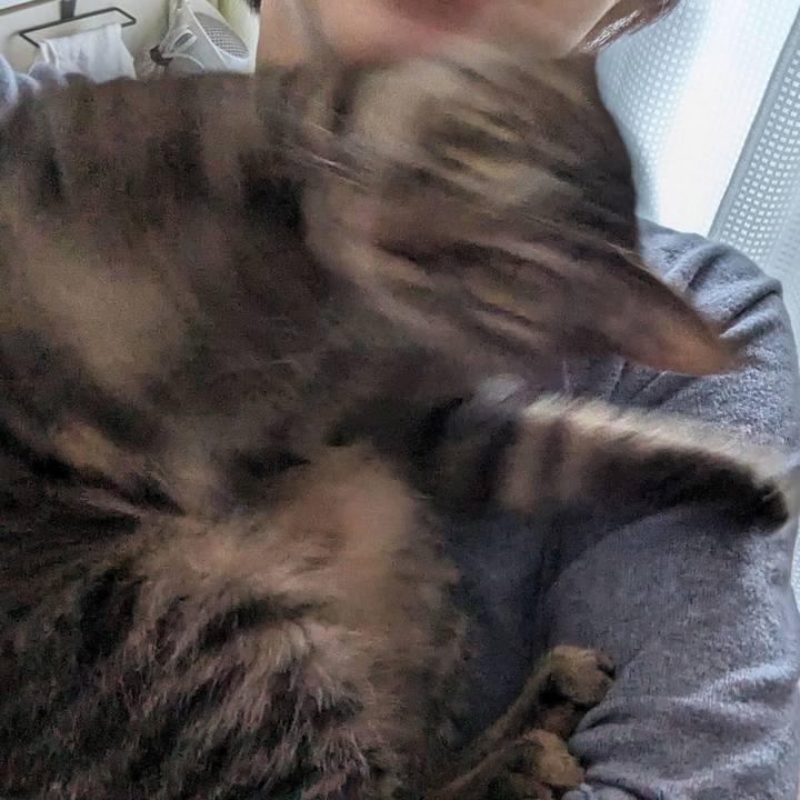 6a460e38 fb06 4e91 80e0 b5922f5a4422 1711943408520