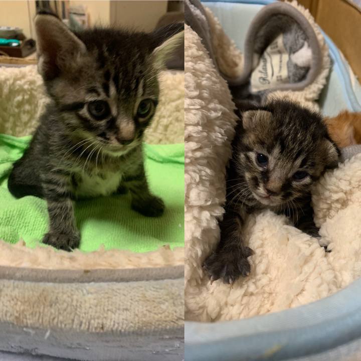 6a461601 079a 416c 9eb9 659ab6d62a18 1570805458957