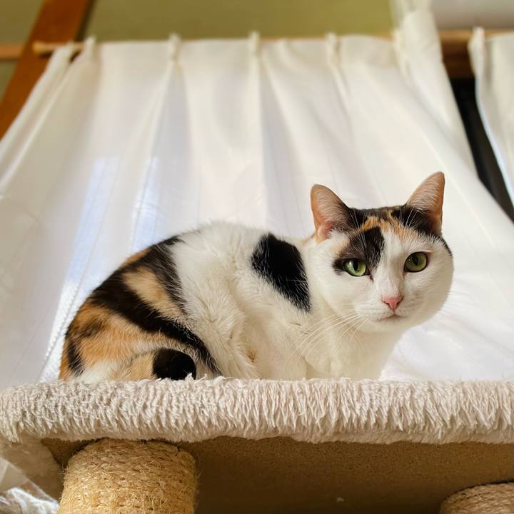 6a46501f 308d 47ca 8f4a f09e589f2dce 1646790559999